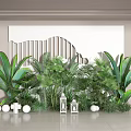 Tropical Indoor Plant Combination With Large Leaves Decorative Lanterns And White Ornaments