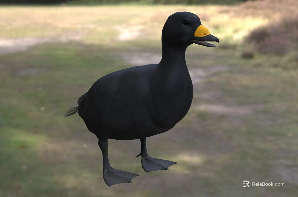 Black Duck With Yellow Beak Standing On Green Grass In Natural Habitat 3d model 