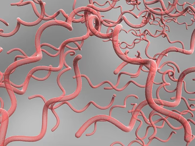Red Curved Tubular Structures Intertwined Intricate Network on Gray Background 3d model