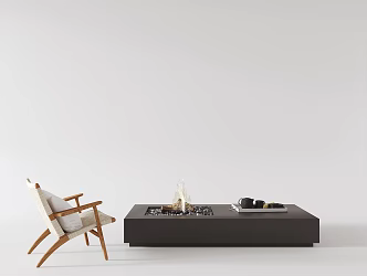 Modern Lounge Chair Single Chair Fireplace Flame Coffee Table Rectangular 3d model