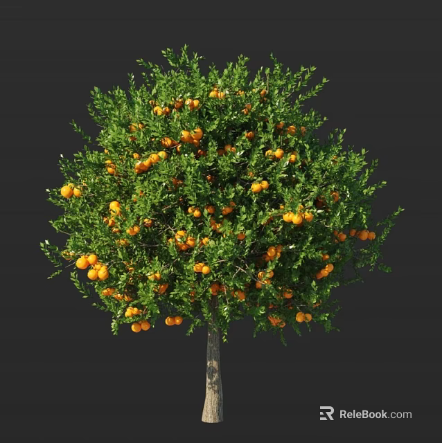 Healthy Lush Fruit Bearing Tree With Abundant Orange Fruits And Green Leaves 3d model 