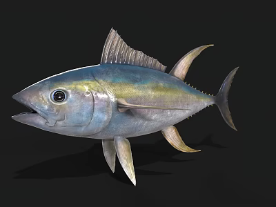 Vibrant Blue Green And Yellow Tuna Aquatic Animal With Distinct Fins And Eyes 3d model