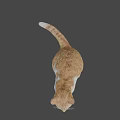 Playful Orange and White Cat Sitting with Tongue Out as Game and Movie Character
