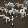 Various Animal Skeleton Models Including Giraffe Elephant Dinosaur And Bird 3d model