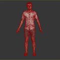 Man In White Short Sleeve Shirt Green Shorts Black Sandals Standing Against Gray Background Arms Outstretched