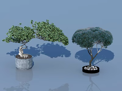 Two Bonsai Plants with Green and Blue Green Leaves in Stone and Black Pots 3d model