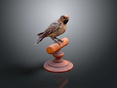 Small Brown Bird Perched on Red Wooden Decorative Base Isolated on Dark Background 3d model