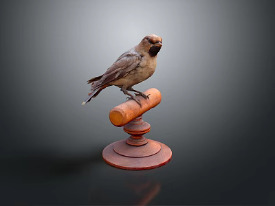 bird game animal cartoon animal realistic animal 3d model