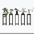 Multiple Wooden Plant Stands With Bonsai Plants In Various Decorative Designs