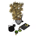 Decorative Ornament Set With Dried Palm Leaves Ceramic Vase Decorative Tray And Lemon Ornaments