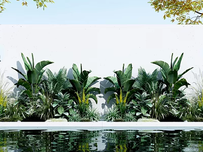 Lush Green Plants With Banana Leaves And Pool Reflection Against White Wall 3d model