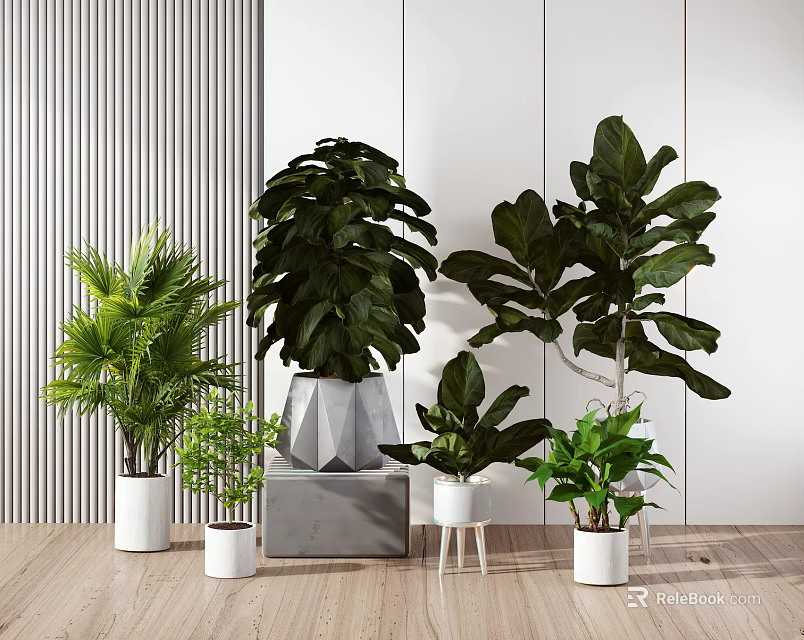 Bonsai Potted Plants With Various Types And Different Pots In Modern Interior 3d model