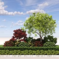 Colorful Garden Shrubs With Red Leaf Plants Green Hedge And Tree Under Blue Sky