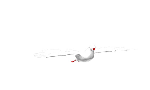 Pigeon with Skeleton Animation 3d model