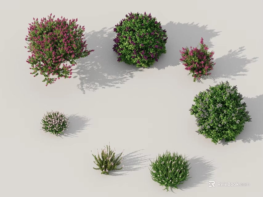 Bushes in Various Sizes Colors Shapes Green Purple Pink Round Irregular Display Arrangement 3d model 