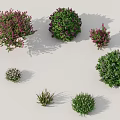 Bushes in Various Sizes Colors Shapes Green Purple Pink Round Irregular Display Arrangement