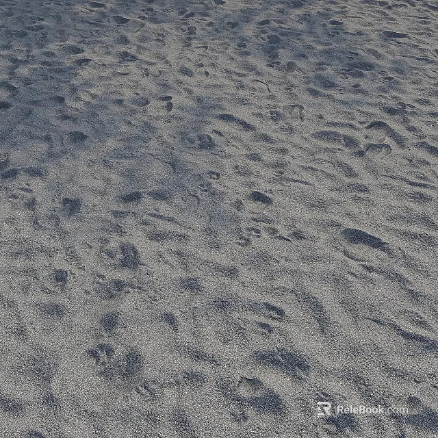 Natural Beach Sand Surface With Various Footprints And Textured Patterns 3d model 