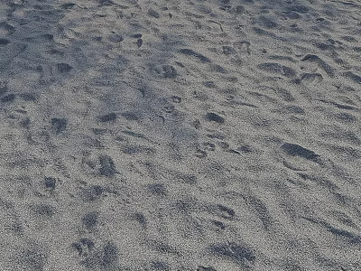 Natural Beach Sand Surface With Various Footprints And Textured Patterns 3d model