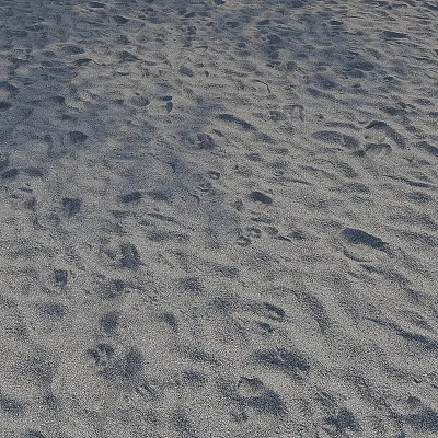 Natural Beach Sand Surface With Various Footprints And Textured Patterns 3d model
