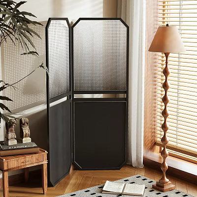 Modern Black Mesh Room Divider In Interior Space With Floor Lamp And Green Plant 3d model