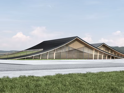 Modern Museum Building With Sloped Black Roof Wooden Structure And Grassy Landscape 3d model