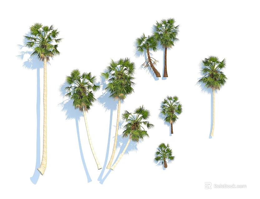 Varied Arbor Trees With Diverse Heights Lush Green Leaves And Natural Shadows 3d model 