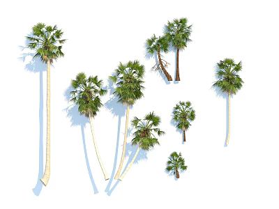 Varied Arbor Trees With Diverse Heights Lush Green Leaves And Natural Shadows 3d model