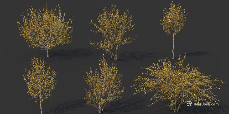Deciduous Trees with Yellow Leaves in Various Forms on Dark Background with Shadows 3d model