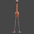 Full Body View Of Pink Flamingo Standing On Long Legs With Neutral Gray Background