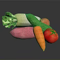Fresh Organic Vegetables Including Radish Cucumber Onion Sweet Potato Carrot Tomato
