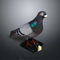 Taxidermy Pigeon Gray Feathers With Green Iridescent Neck Standing On Black Base With Gold Tag