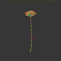 Red Rose with Green Stem and Leaves on Gray Background with Reflection