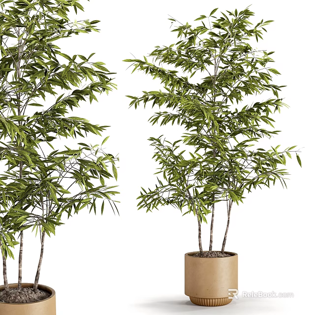Green Leafy Potted Bamboo Plants With Multiple Stems For Indoor Decoration 3d model 
