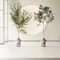 Two Bonsai Plants In Beige Pots With Metal Stands Near Round Mirror Modern White Interior