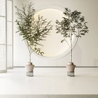 Two Bonsai Plants In Beige Pots With Metal Stands Near Round Mirror Modern White Interior 3d model