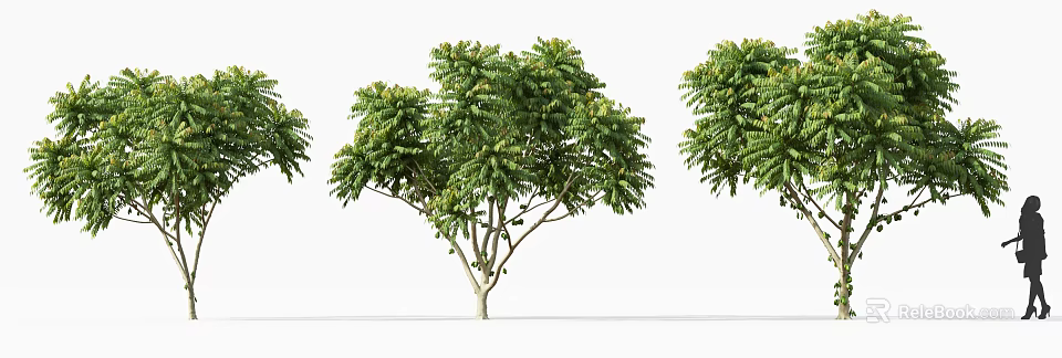 Lush Green Arbor Tree With Dense Foliage And Strong Natural Trunk Design 3d model 