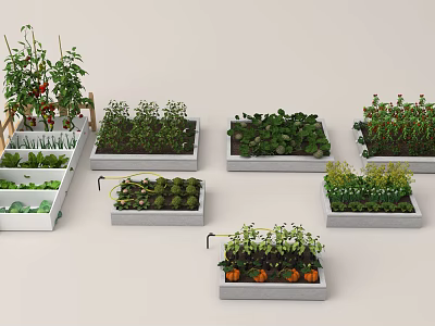 Modern crop vegetable garden vegetable field tomato pepper pumpkin 3d model