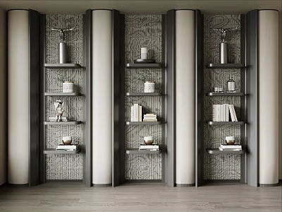 Modern Elegant Bookcase Design With Multiple Shelves Books And Textured Background Wall 3d model