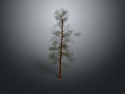 Isolated Tree with Brown Trunk and Green Leaves on Gray Background 3d model