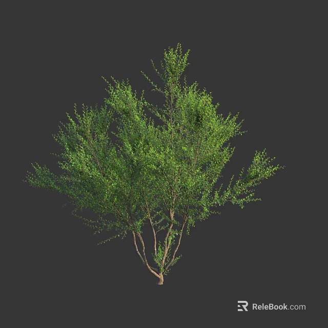 Lush Green Shrub With Dense Foliage And Healthy Branches For Garden Landscaping 3d model 