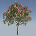 Tall Arbor With Green Leaves And Pink Flowers Standing On Green Grass
