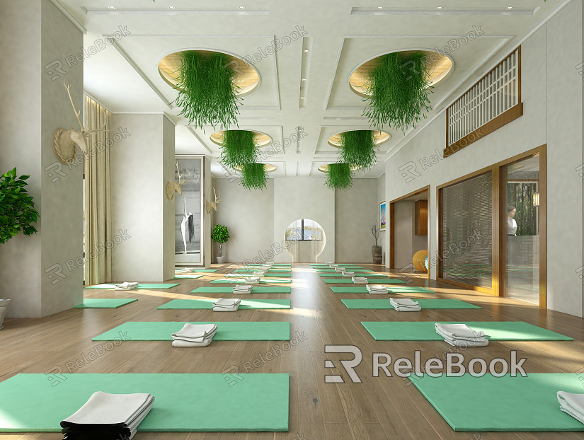 Modern Yoga Room Gym model