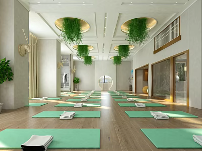 Bright Yoga Studio With Green Mats Hanging Plants And Wooden Floors 3d model