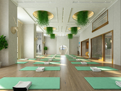 Modern Yoga Room Gym 3d model