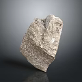 Stone Rock Stone Stone Appreciation Stone Strange Stone Ore Realistic 3d model