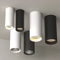 Modern Home Ceiling Lighting With Downlights Spotlights White And Black Cylindrical Fixtures Contemporary Style