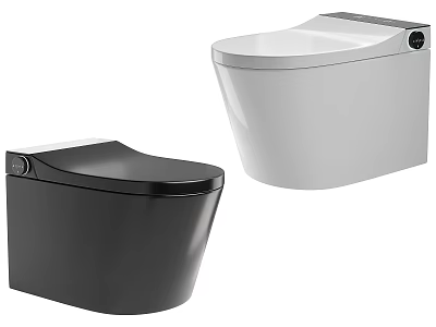 Modern Stylish Toilets With Black And White Color And Contemporary Design 3d model