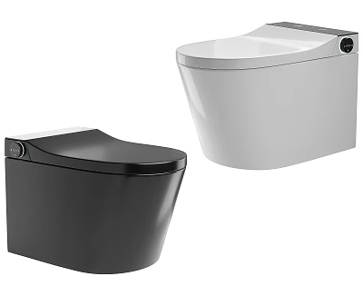 Modern Stylish Toilets With Black And White Color And Contemporary Design 3d model