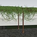 Wooden Pergola with Lush Green Vines Covering Top and Stone Paved Floor in Grass Area