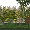 Decorative Garden Wall With Wooden Fence Covered In Yellow Flowers And Green Plants
